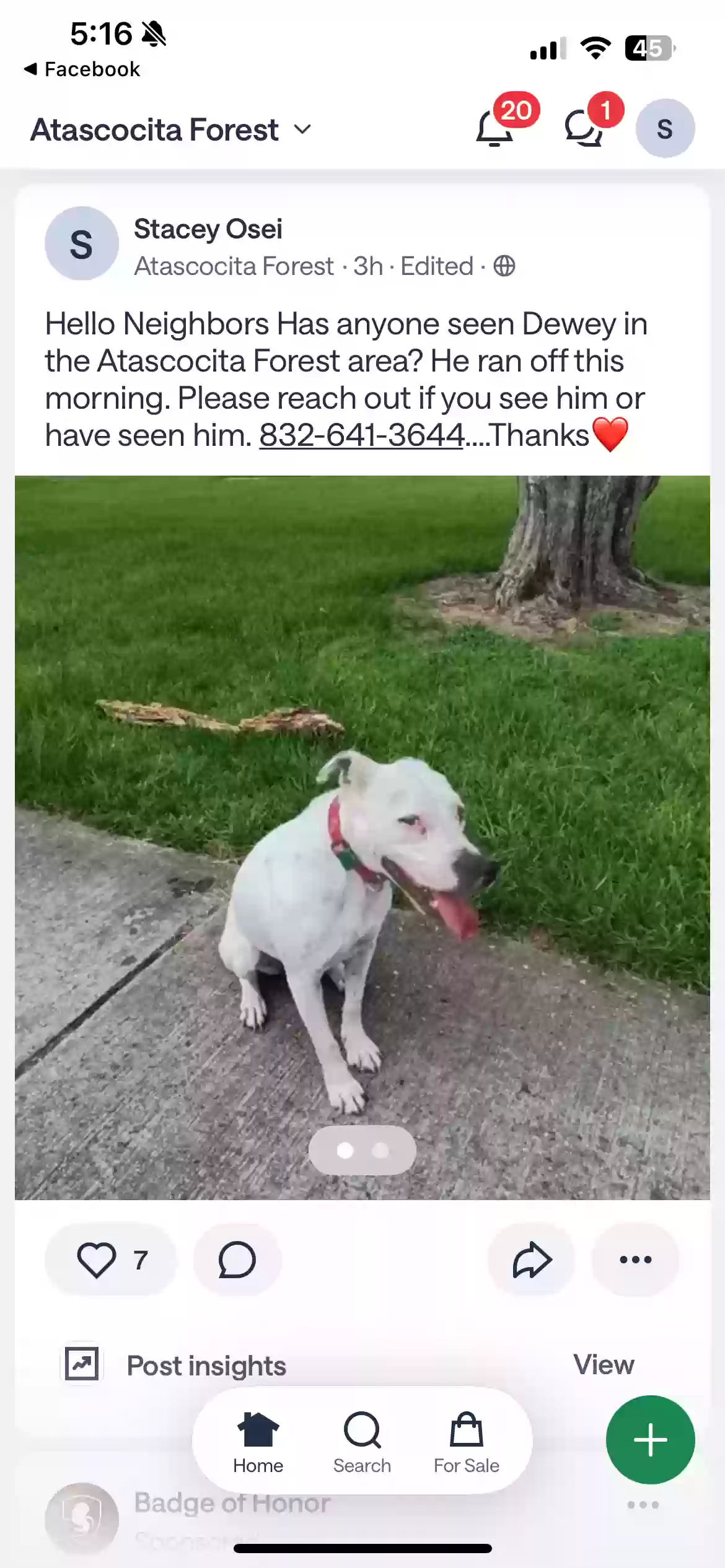 Lost dog in Humble, TX, 77396