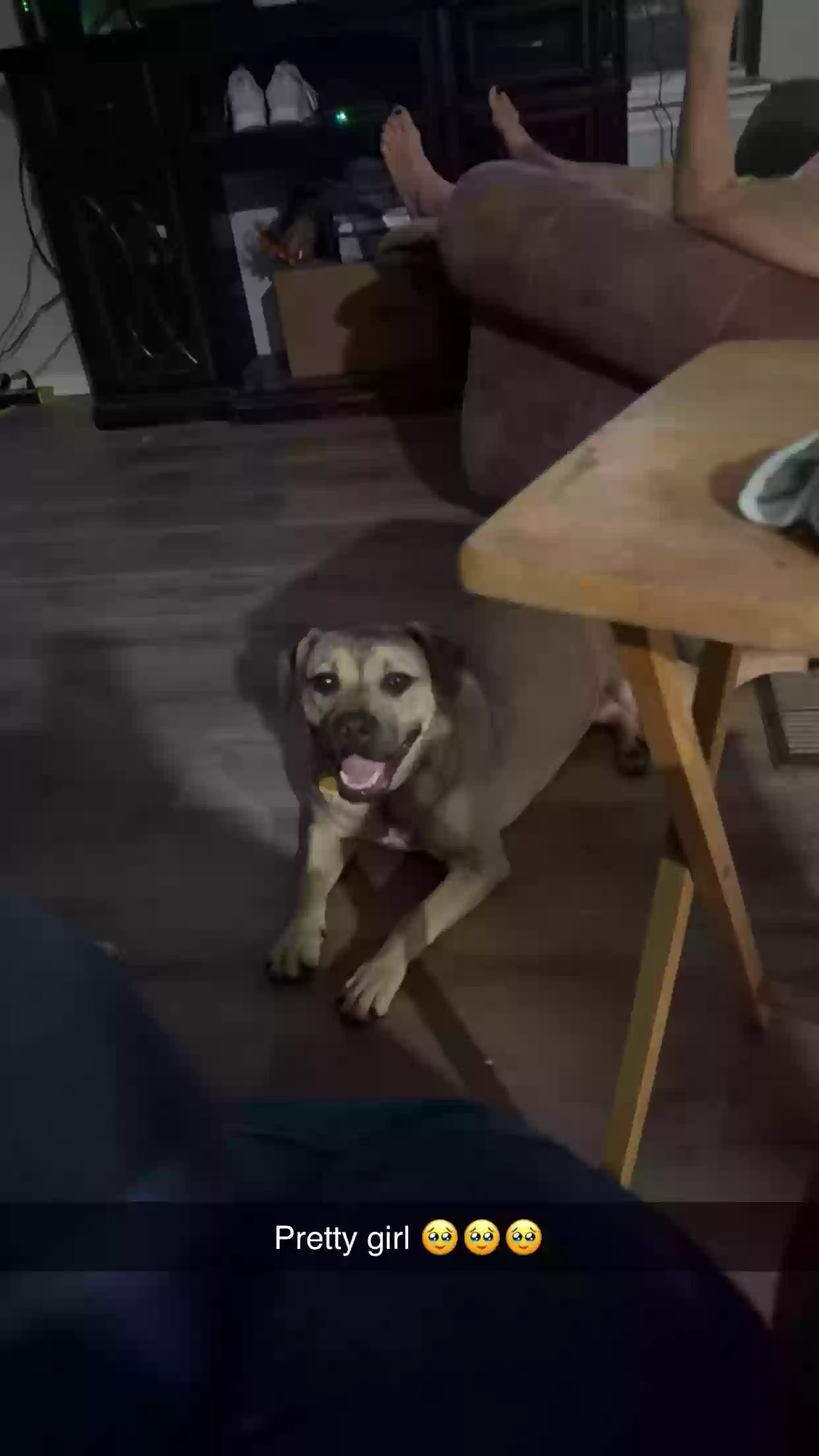 Lost dog in Quinlan, TX, 75474
