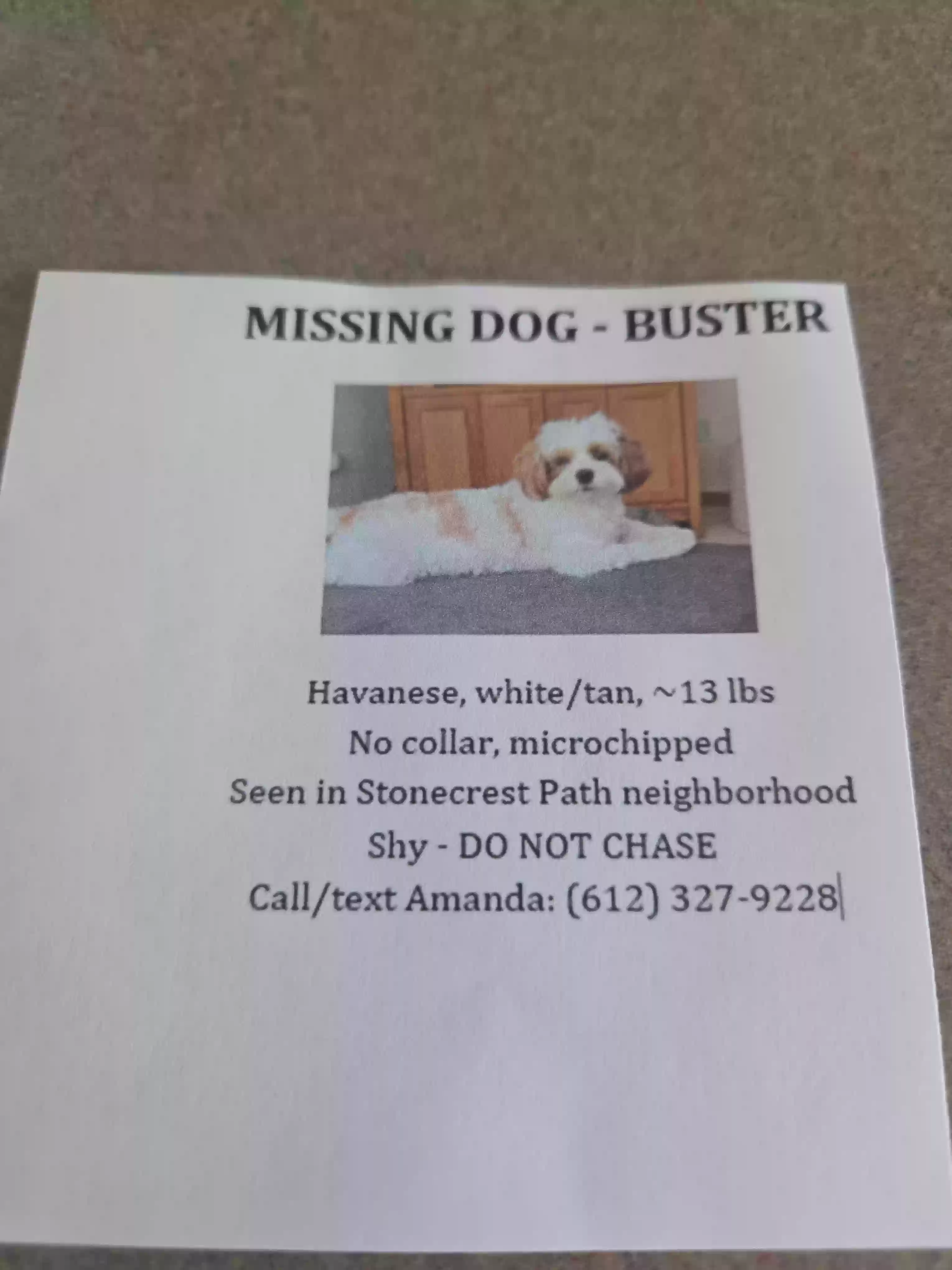 Lost dog in Prior Lake, MN, 55372