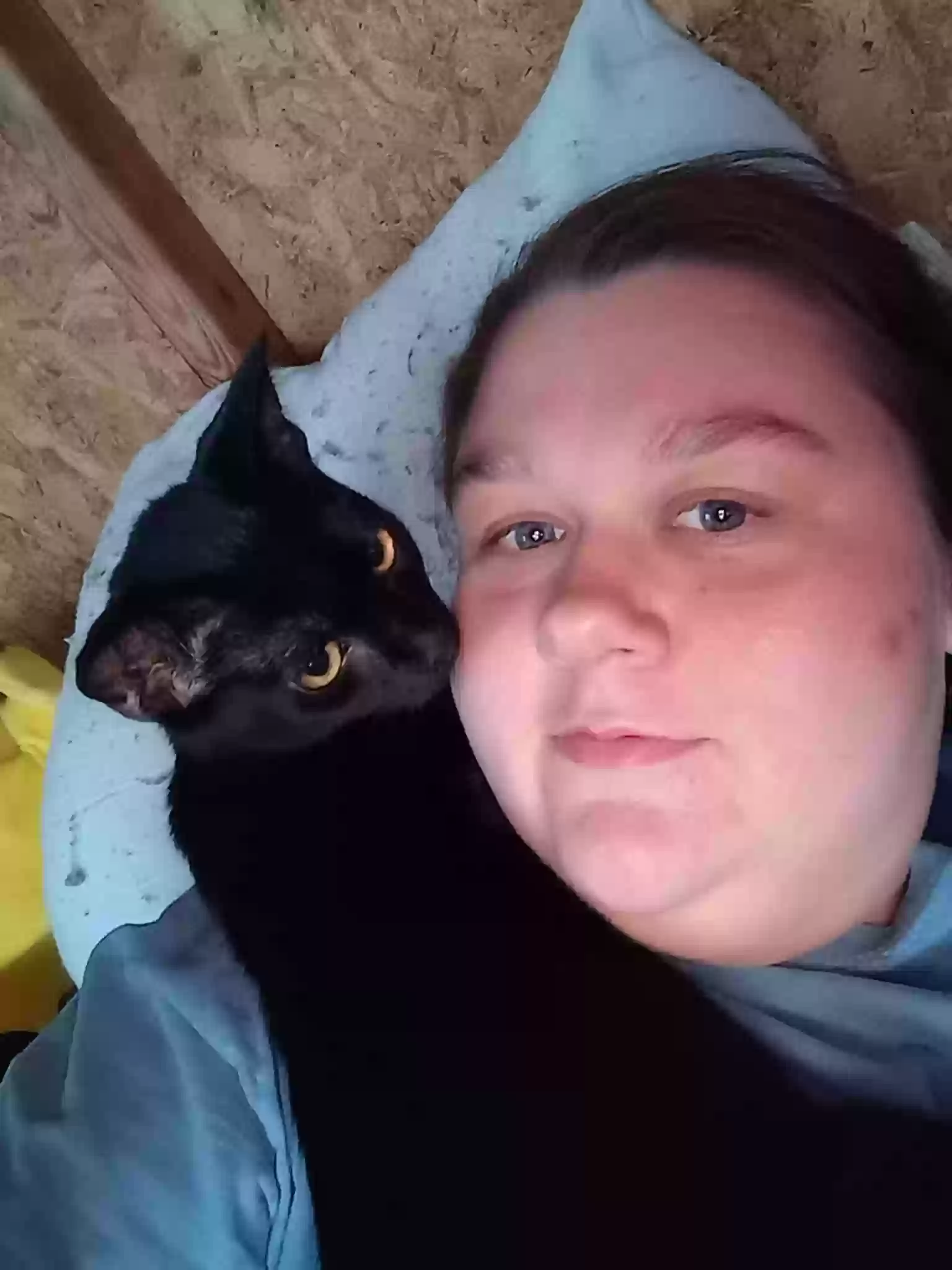 Lost cat in Liberty, SC, 29657