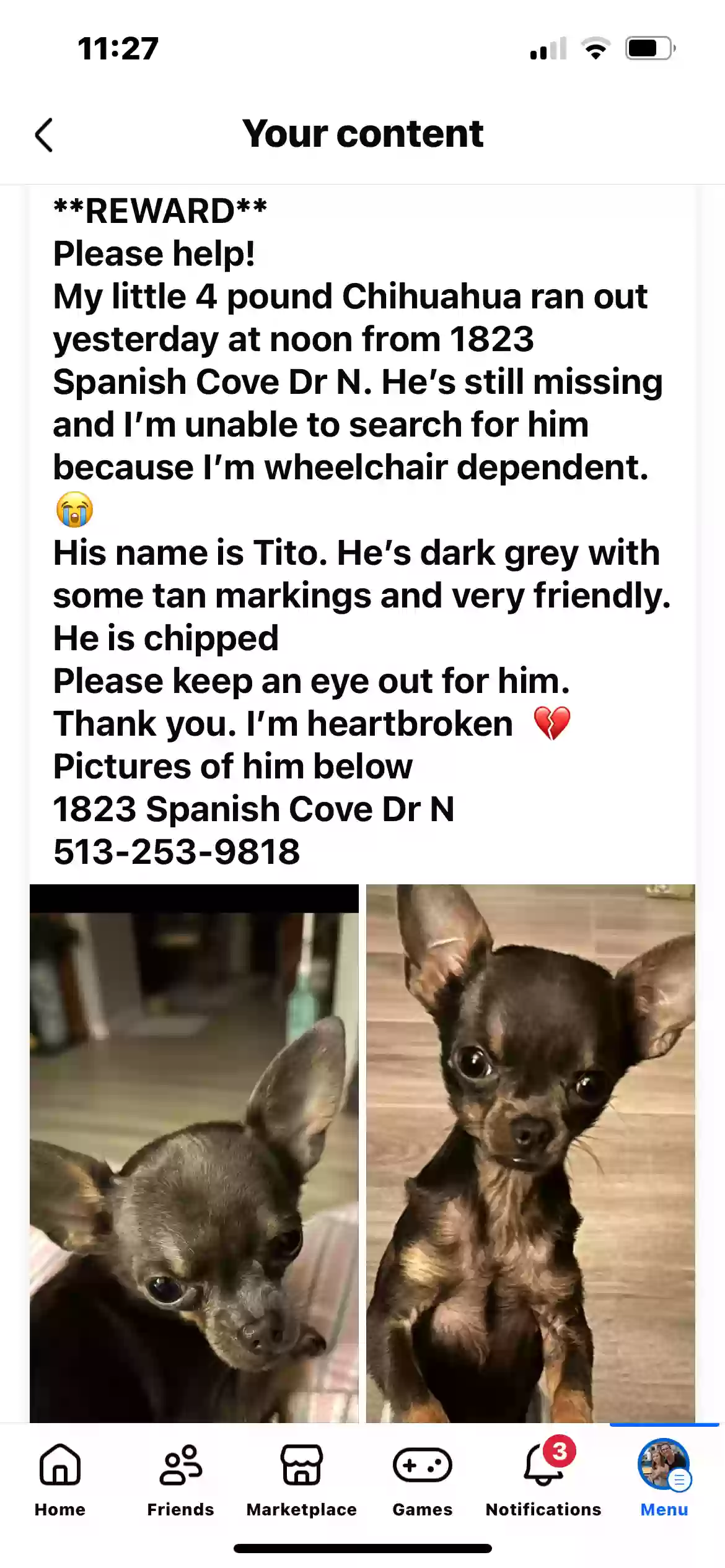 Lost dog in Lillian, AL, 36549