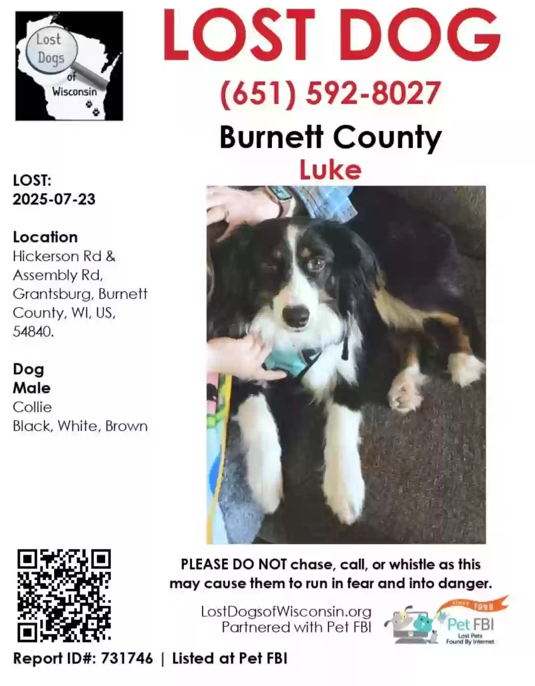 Lost dog in Grantsburg, WI, 54840
