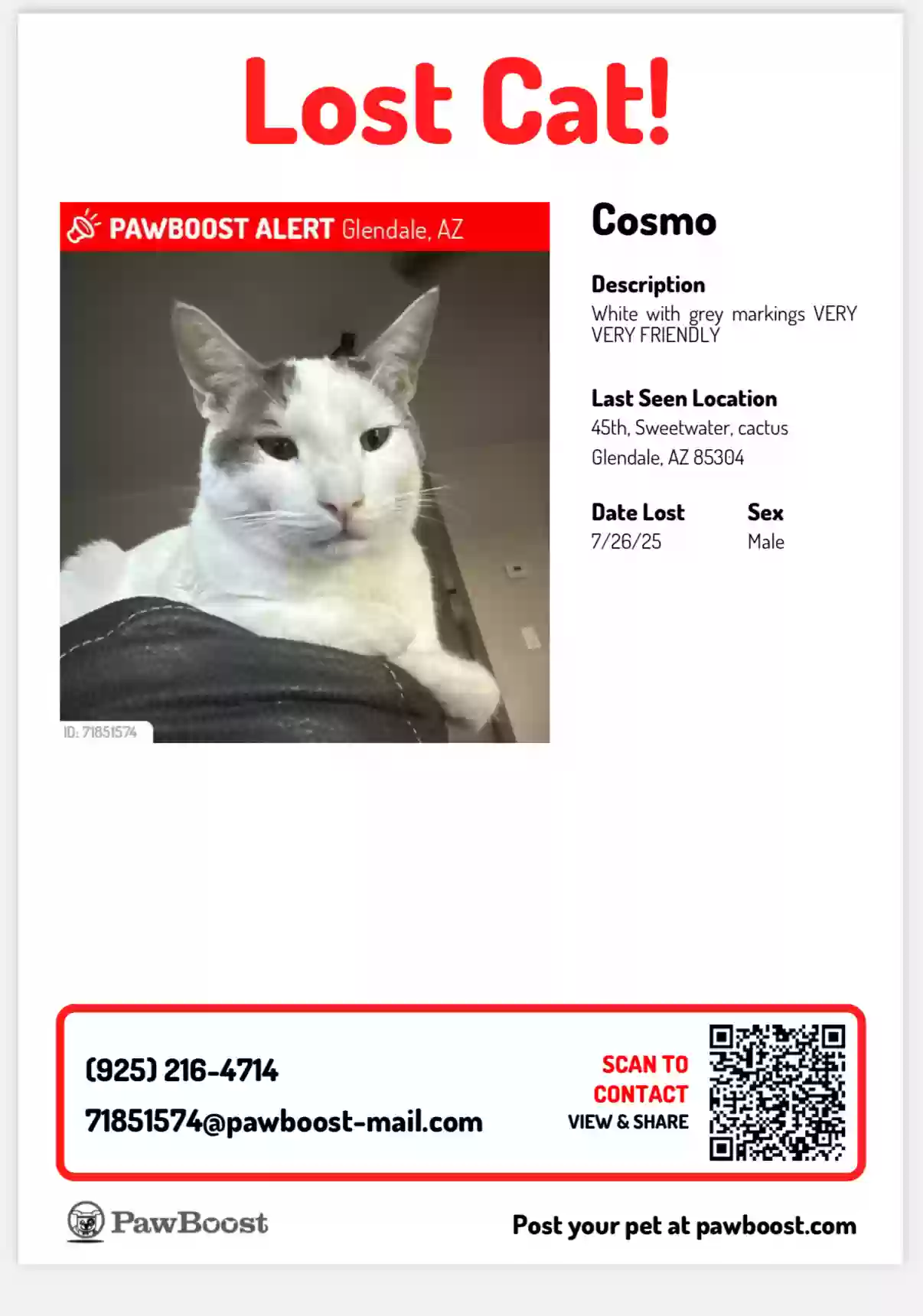 Lost cat in Glendale, AZ, 85304
