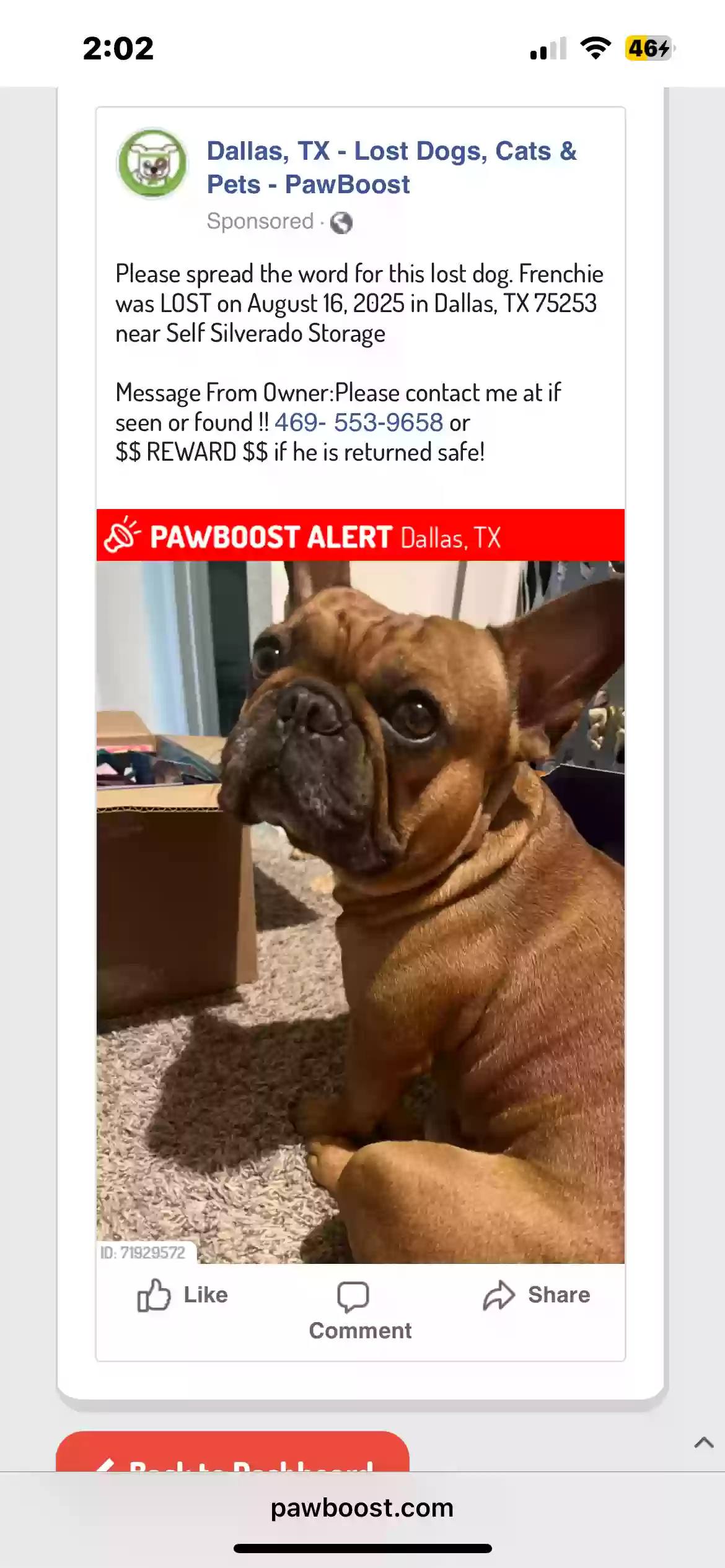 Lost dog in Dallas, TX, 75253