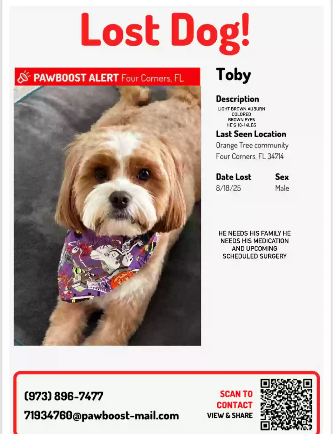 Lost dog in Clermont, FL, 34714