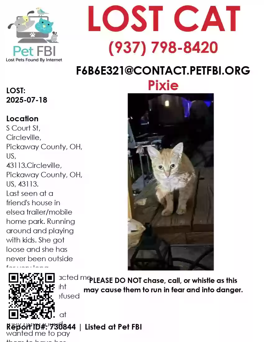Lost cat in Circleville, OH, 43113
