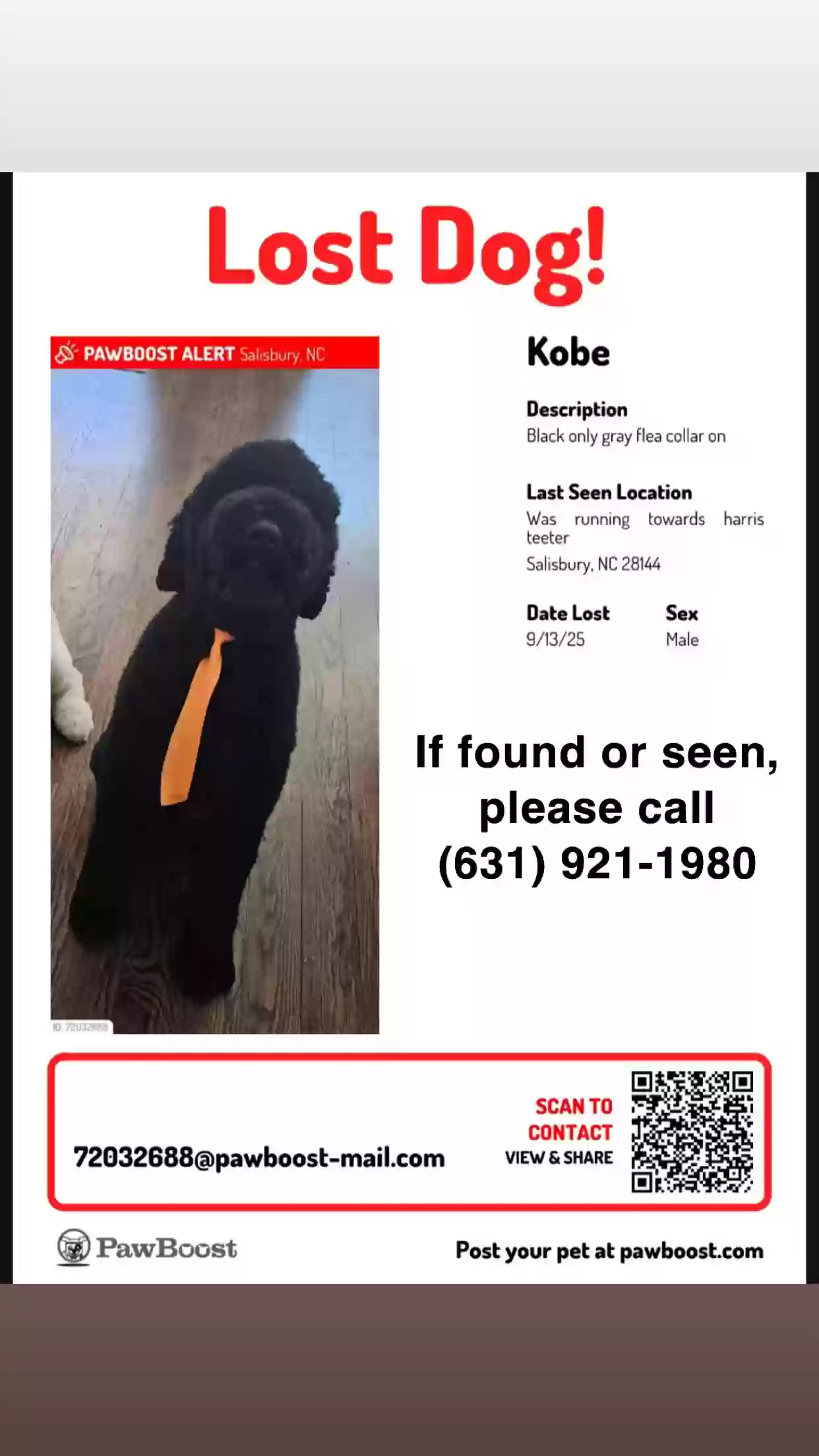 Lost dog in Mooresboro, NC, 28114