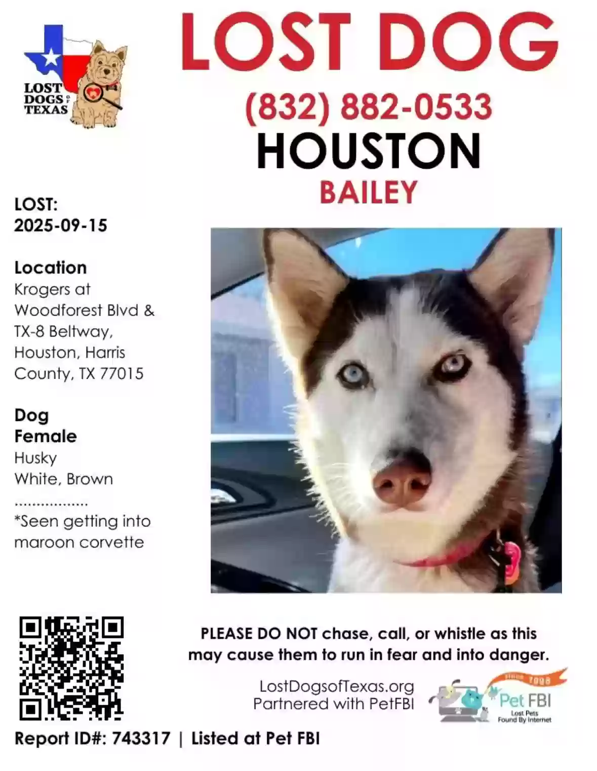 Lost dog in Houston, TX, 77015