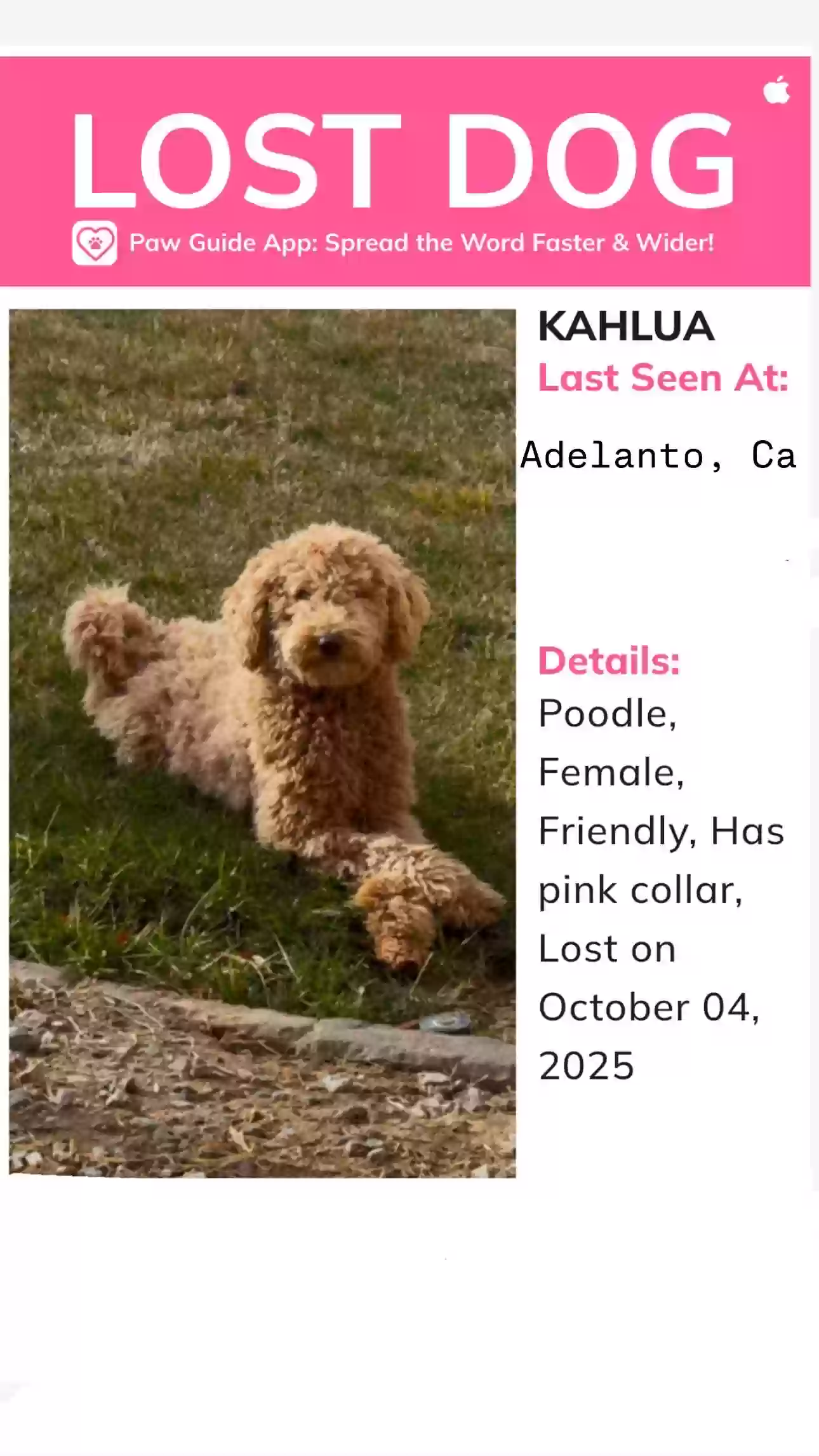 Lost dog in Adelanto, CA, 92301