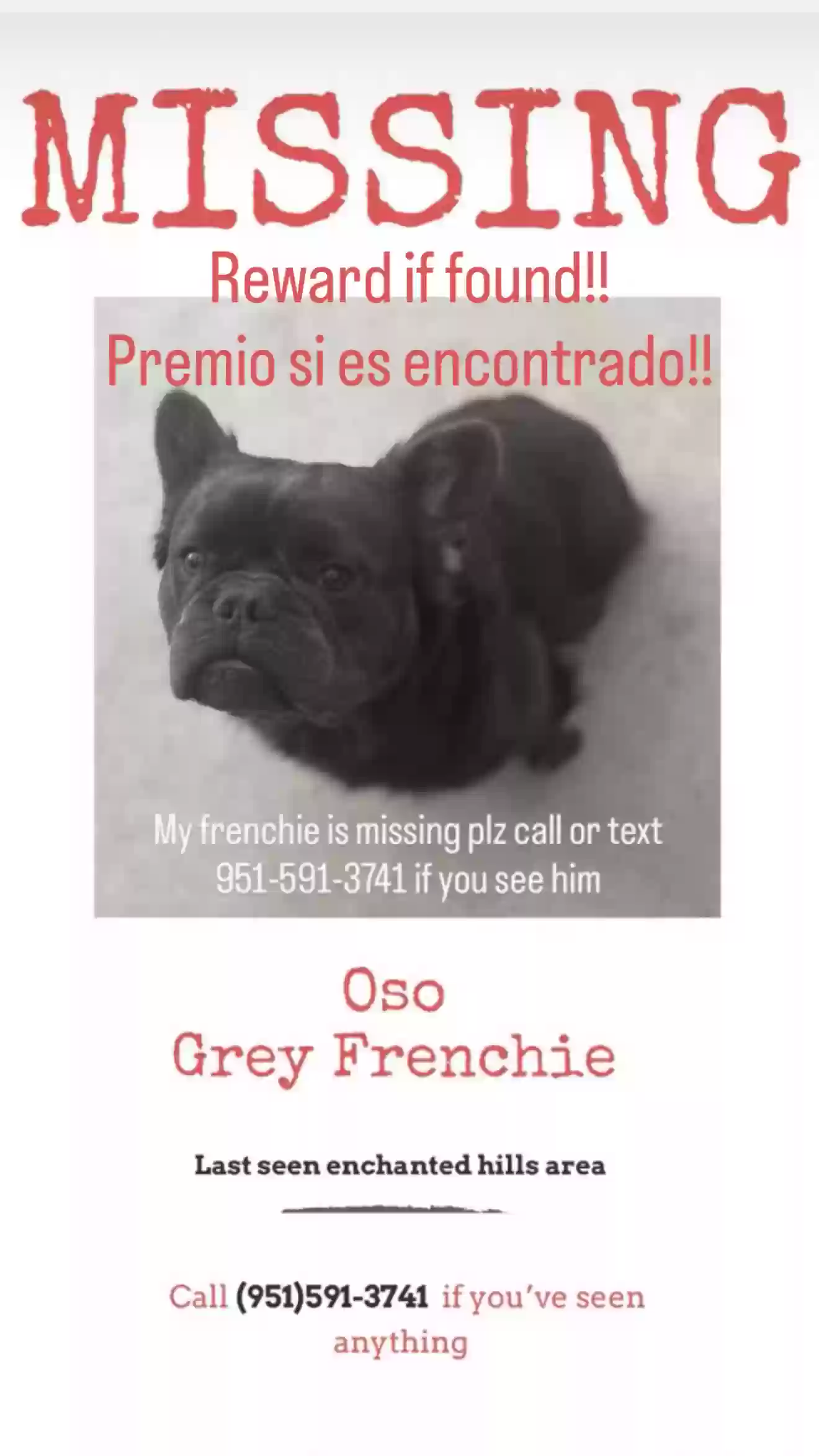 Lost dog in Perris, CA, 92570
